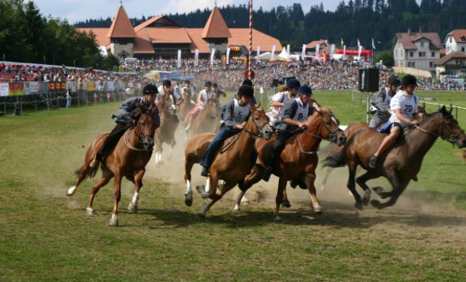 cours-chevaux-jura