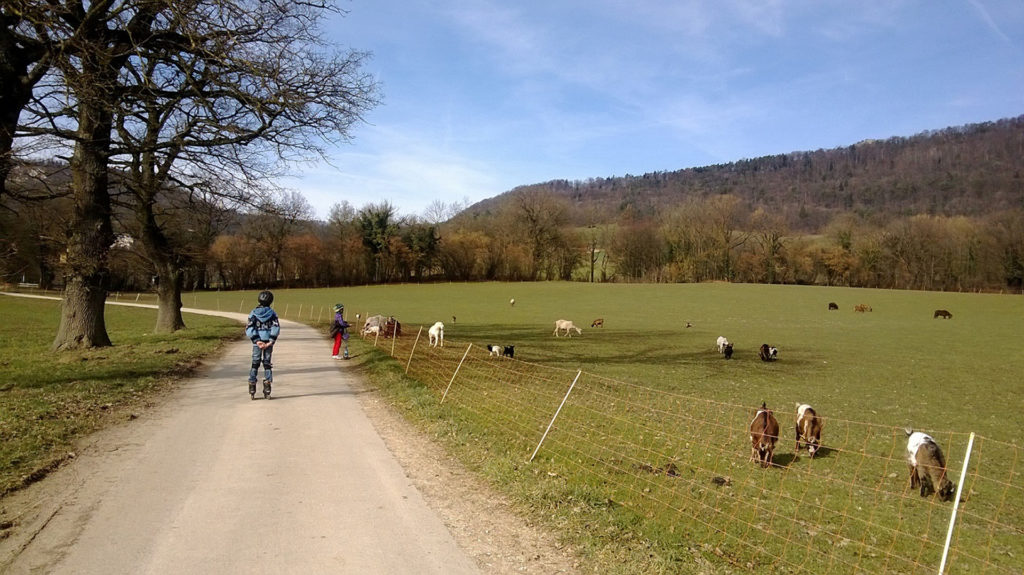 Sentier_pédestre_Jura